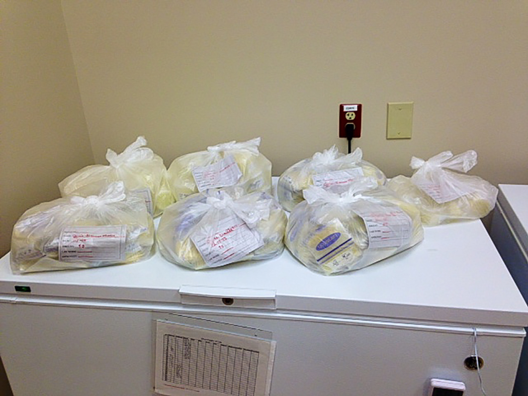   Donated 4.6 gallons of breastmilk  2013 Image by Brooke Carter, OhioHealth Mothers' Milk Bank 